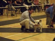 DOG CC & BEST OPP SEX IN SHOW