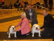 BEST IN SHOW & RES BEST IN SHOW