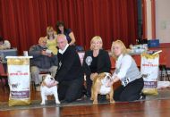 RESERVE BEST IN SHOW & BEST IN SHOW